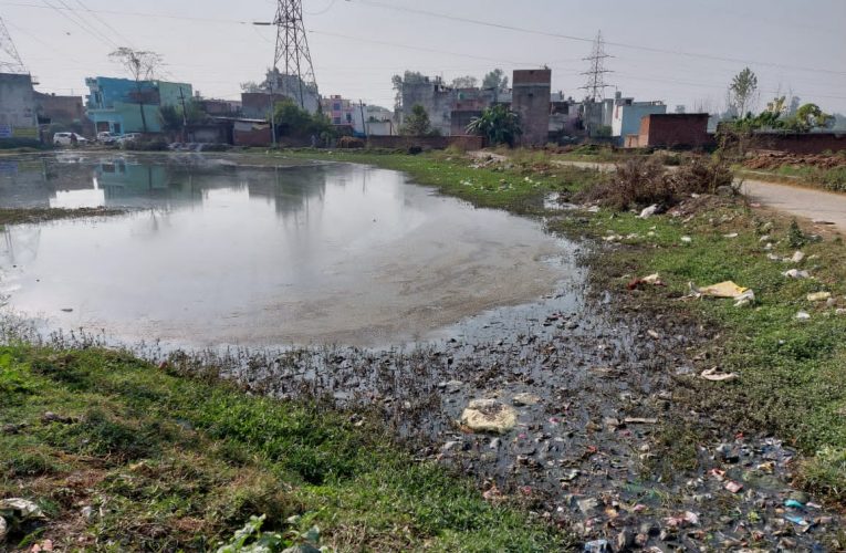 सलेमपुर-कृष्णा नगर के तालाब से मिट्टी उठाए जाने का मामला पहुंचा हाइकोर्ट, 12 जनवरी को होगी सुनवाई