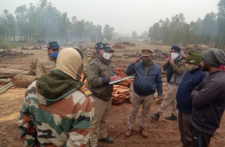 कलियर क्षेत्र में डीएफओ ने किया औचक निरीक्षण, अनियमितता मिलने पर आरा मशीन की सील