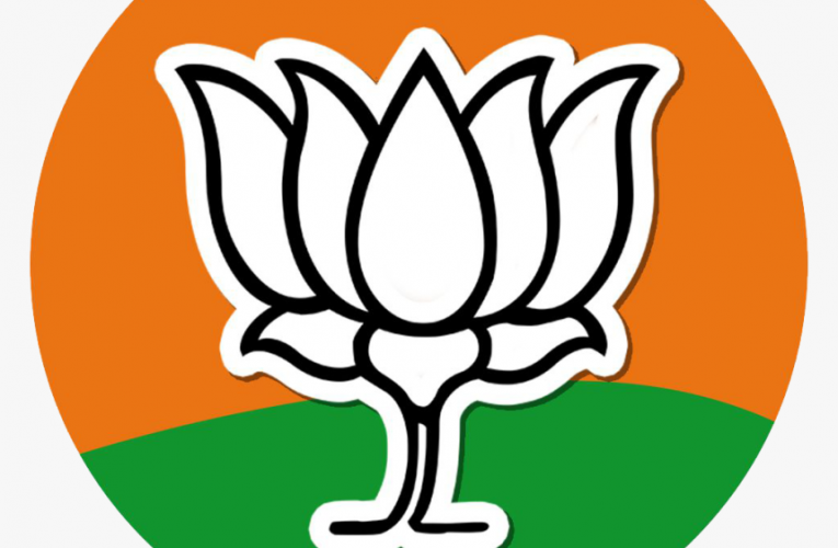 कैबिनेट मंत्री नहीं बनाए जाने से नाराज हुए भाजपा के वरिष्ठ विधायक, खड़े किए सवाल, कहा पार्टी के लिए डंडे-झंडे उठाए