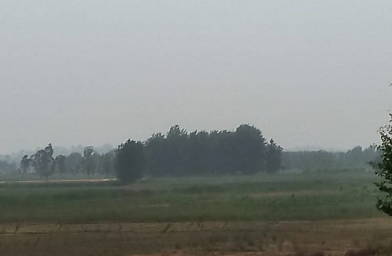 धूल भरी आंधी ने किया बेहाल, अब हो रही बारिश, लोगों को गर्मी से मिल रही राहत