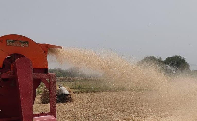 पशुओं के लिए सूखे चारे का संकट, धारा 144 लागू, भूसा स्टोरेज व उद्योगों में इस्तेमाल पर रोक, डीएम ने जारी किए आदेश