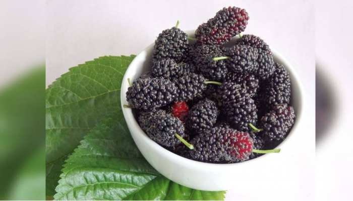 शहतूत के छोटे से फल में छुपे हैं बड़े औषधीय गुण, वजन घटाने से लेकर इन चीजों में है फायदेमंद