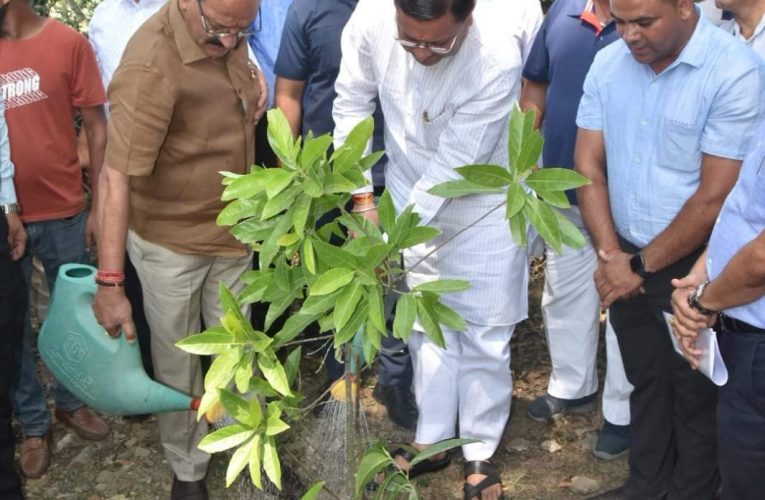 चंपावत को वोकल फॉर लोकल आधारित आर्थिकी एवं पारिस्थितिकी के रूप में खड़ा किया जाएगा: सीएम धामी, सचिवालय एवं विधानसभा को प्लास्टिक मुक्त बनाया जाएगा