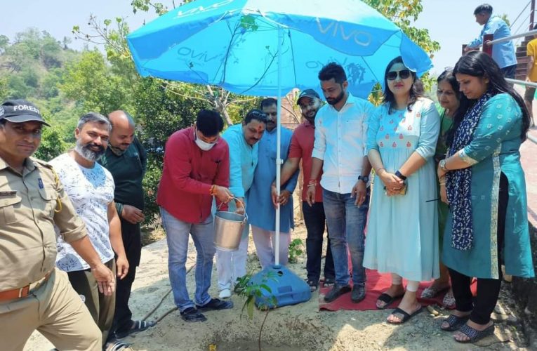 पर्यावरण स्वच्छता के लिए पौधारोपण जरूरी, नगर पालिका शिवालिक नगर के अध्यक्ष राजीव शर्मा के नेतृत्व में मां सुरेश्वरी देवी मंदिर परिसर व राजा जी नेशनल पार्क में किया गया पौधारोपण