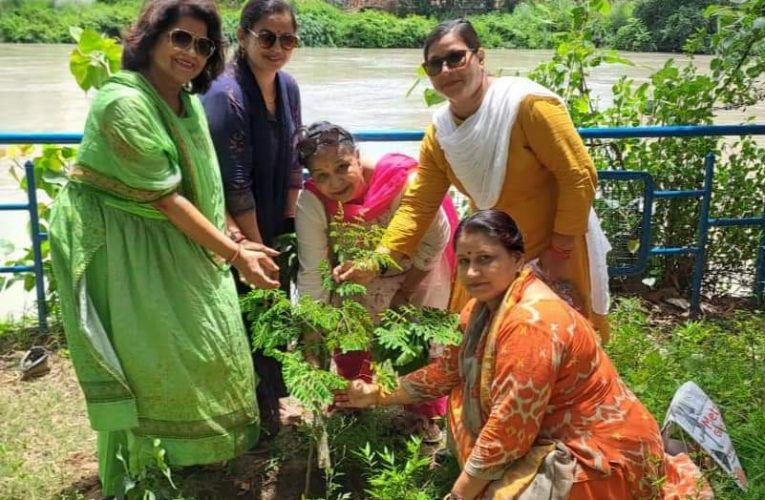 प्रकृति को हरा भरा बनाने के लिए पौधारोपण जरूरी, भाजपा नेत्री पूनम त्यागी के नेतृत्व में पौधों का वितरण व वृक्षारोपण किया गया