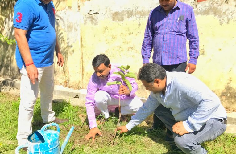 मानव जीवन को जीवंत रखने के लिए वृक्षों का होना अति महत्त्व पूर्ण: गौरव गोयल, हरेला पर्व पर रुड़की मेयर ने किया पौधारोपण