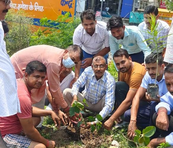 वृक्ष के बिना धरती पर जीवन की परिकल्पना संभव नहीं: गिरी, भाजपा ओबीसी मोर्चा के प्रदेश मंत्री धीर सिंह के संयोजन में किया गया पौधारोपण