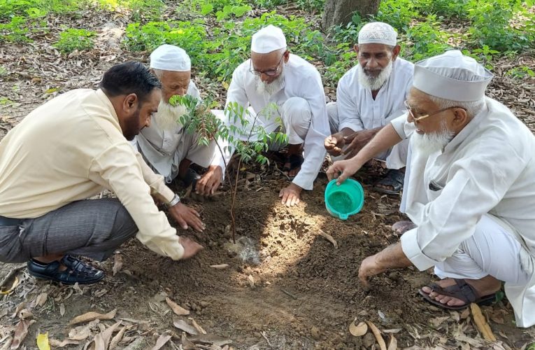 पेड़-पौधे हैं जीवन का आधार: देशभक्त, पौधारोपण कर पर्यावरण बचाने का लिया संकल्प