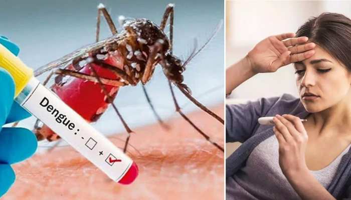 तेजी से बढ़ रहे डेंगू के मामले, जानिए लक्षण और घरेलू उपचार