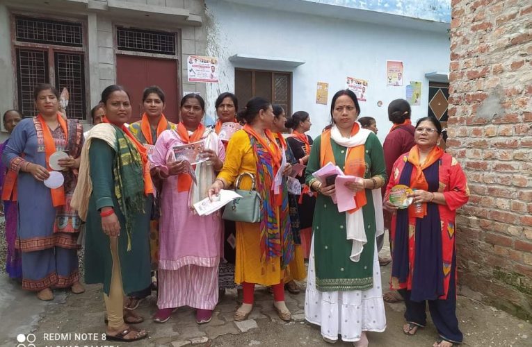 अमित चौहान उर्फ सोनू के समर्थन में महिलाओं की टीम चुनाव मैदान में उतरी, उगता सूरज चुनाव चिन्ह पर मोहर लगाकर जिताने की कर रही अपील