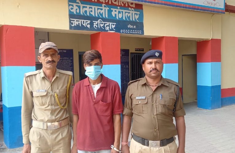 चाकुओं के साथ घूम रहा आरोपी पुलिस ने पकड़ा, अपराधिक वारदात को अंजाम देने के लिए घूम रहा था आरोपी युवक