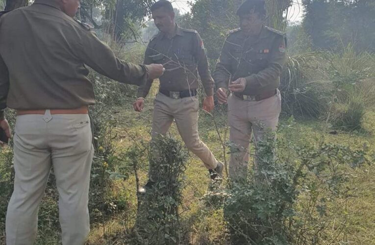 जहरीले पौधे नष्ट करने का अभियान आज भी रहा जारी, सीओ बुग्गावाला रहे ग्राउण्ड जीरो पर मौजूद
