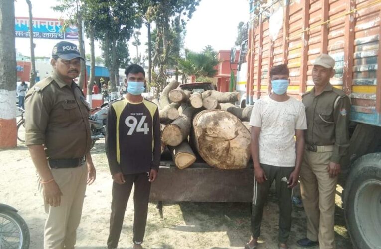 प्रतिबंधित लकड़ियों के साथ दो गिरफ्तार, भेजे गए जेल