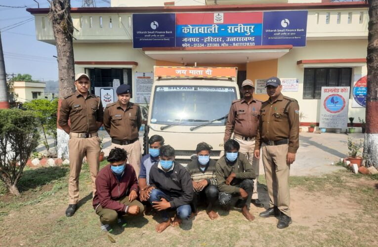 रानीपुर पुलिस ने पांच आरोपियों को दबोचा, भेल क्षेत्र से चोरी की गई दो भैंस बरामद