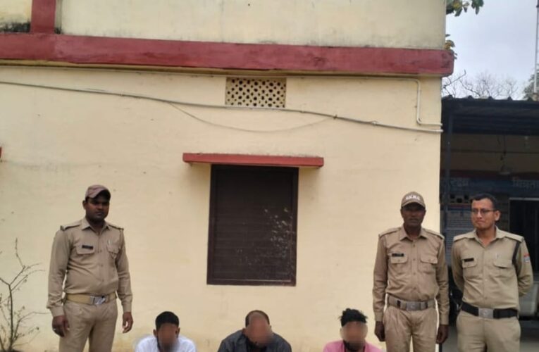 तीन सगे भाइयों ने लाइसेंसी बंदूक से फायरिंग का वीडियो सोशल मीडिया पर वायरल किया, गिरफ्तार