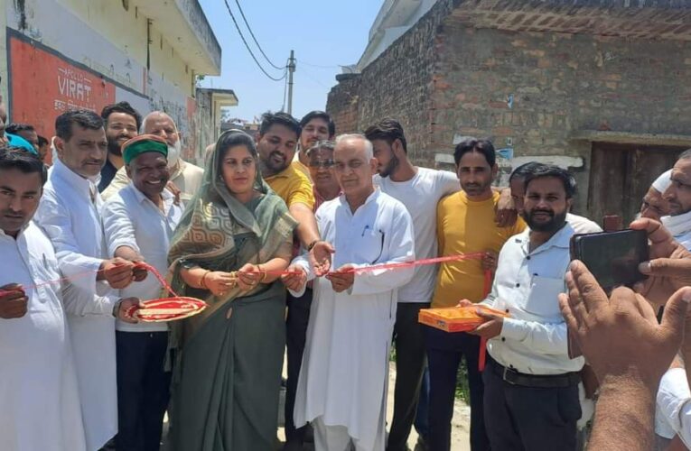 विधायक ममता राकेश ने खेलपुर गांव में इंटरलॉकिंग टाइल्स सडक का उद्घाटन किया