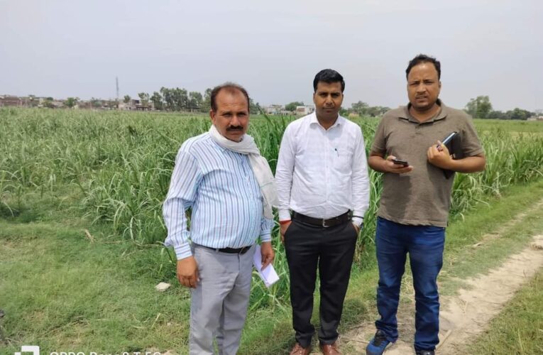 गन्ना विकास विभाग लिब्बरहेड़ी की टीम ने गन्ना सर्वेक्षण कार्यों का स्थलीय निरीक्षण कर जांच की