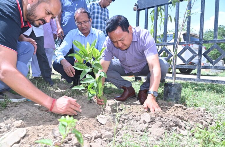 पर्यावरण की रक्षा में अपना योगदान दें, डीएम धीराज सिंह गर्ब्याल ने विश्व पर्यावरण दिवस पर किया पौधारोपण