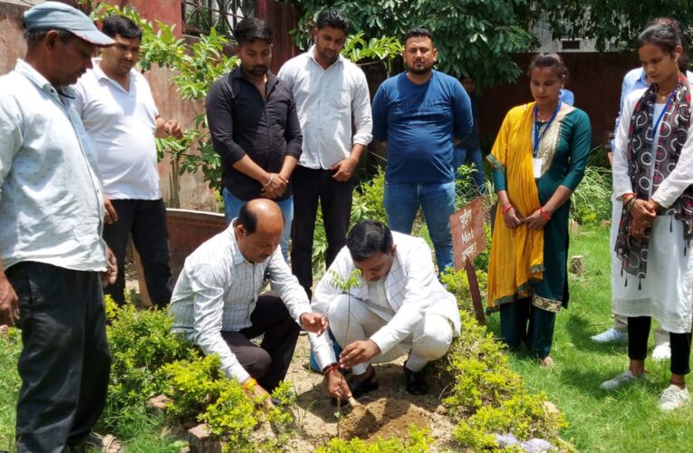 पर्यावरण को संरक्षित रखना सामूहिक जिम्मेदारी, मेयर गौरव गोयल ने केदार वाटिका में किया पौधारोपण