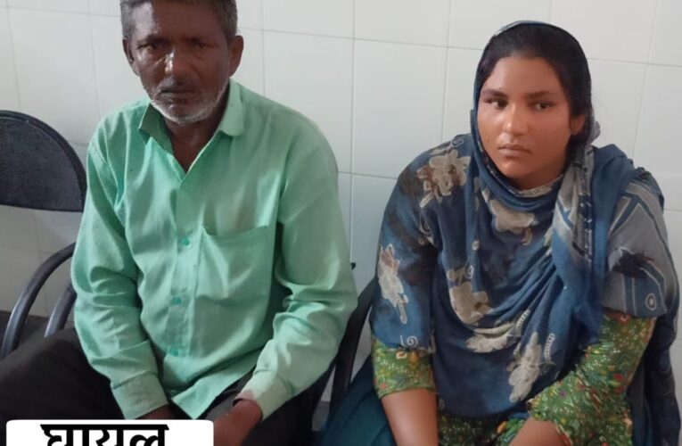 भगवानपुर में जमीन को लेकर विवाद के चलते दो पक्षों में पथराव, सात लोग घायल