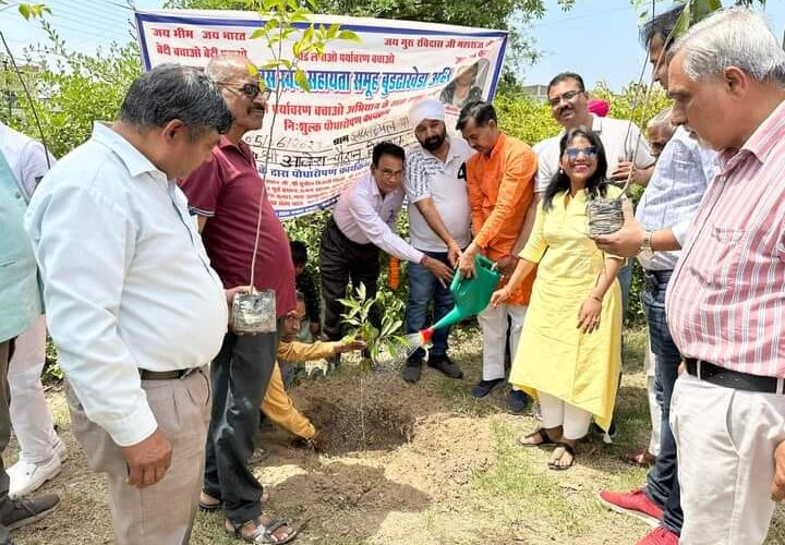 प्रकृति के बिना मानव जीवन संभव नहीं, रानीपुर विधायक आदेश चौहान ने पर्यावरण दिवस पर किया वृक्षारोपण