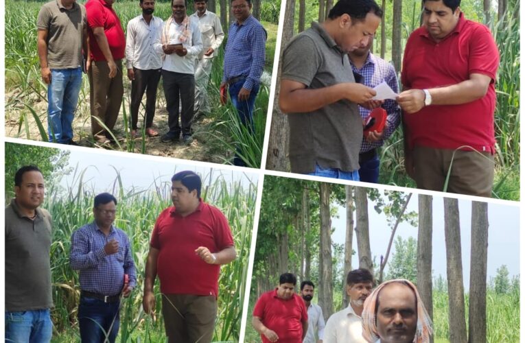 लिब्बरहेड़ी सहकारी गन्ना विकास समिति के चेयरमैन प्रतिनिधि सुशील राठी ने किया गन्ना सर्वेक्षण का निरीक्षण, पारदर्शिता बनाएं रखने के दिए निर्देश