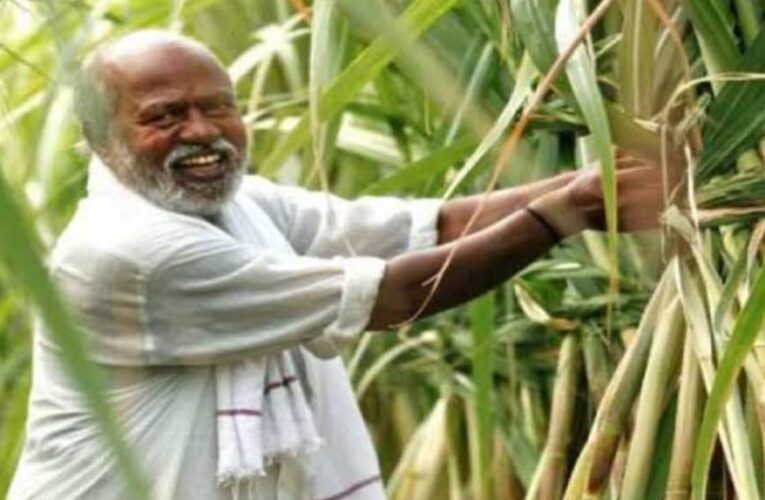 केंद्र की भाजपा सरकार ने देश के गन्ना किसानों के लिए तोहफे का एलान किया, गन्ने का समर्थन मूल्य बढ़ाया, पांच करोड़ किसानों को होगा फायदा