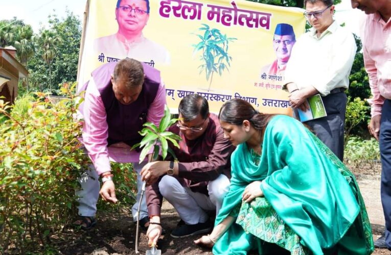 हरेला पर्व पर मुख्यमंत्री पुष्कर सिंह धामी ने पौधारोपण किया, कहा हरेला प्रकृति के संरक्षण एवं संवर्द्धन का पर्व