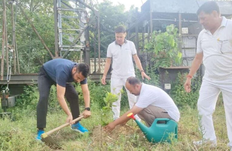 हरेला पर्व पर समाजसेवी डॉ.अमन गुप्ता ने कहा पूरे जनपद में रोपे जाएंगे 1100 पौधे