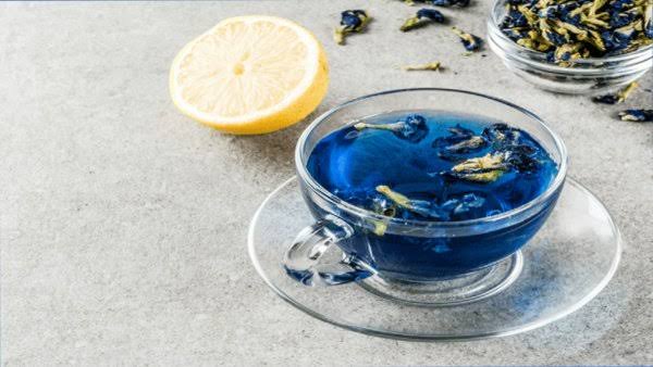 डायबिटिक पेशेंट के लिए अमृत से कम नहीं है ये नीली चाय, एक बार पीने पर दिनभर कंट्रोल रखती है ब्लड शुगर, जानिए बनाने का तरीका
