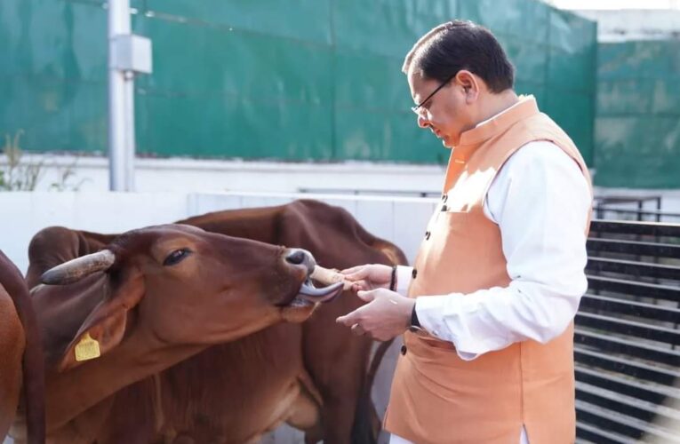 मुख्यमंत्री पुष्कर सिहं धामी ने किया गायों का पूजन, प्रदेशवासियों के लिए की सुख-समृद्धि व खुशहाली की कामना