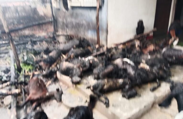 कलियर में संदिग्ध परिस्थितियों में  झोपड़ी में अचानक लगी आग, आग लगने से बीस से ज्यादा बकरियां जिंदा जल गई