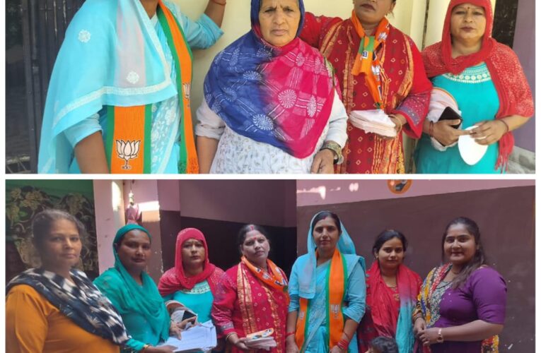 जिला पंचायत सदस्य संजना चौहान ने महिलाओं संग करौंदी गांव में मांगे भाजपा प्रत्याशी त्रिवेंद्र सिंह रावत के लिए वोट, कहा-भाजपा सरकार में महिलाओं को मिला विशेष सम्मान