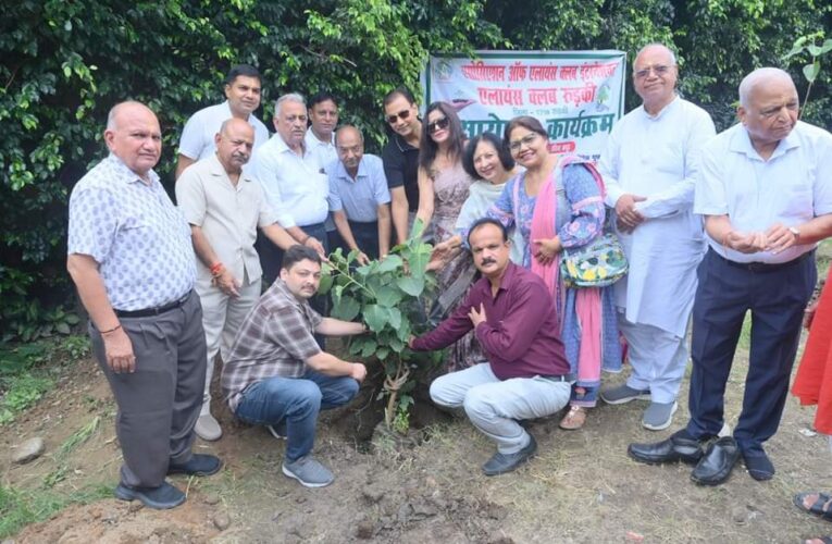 केवल कन्या पाठशाला इन्टर कॉलेज मंगलौर के प्रांगण में रोपित किए गए 10 पीपल के पौधे