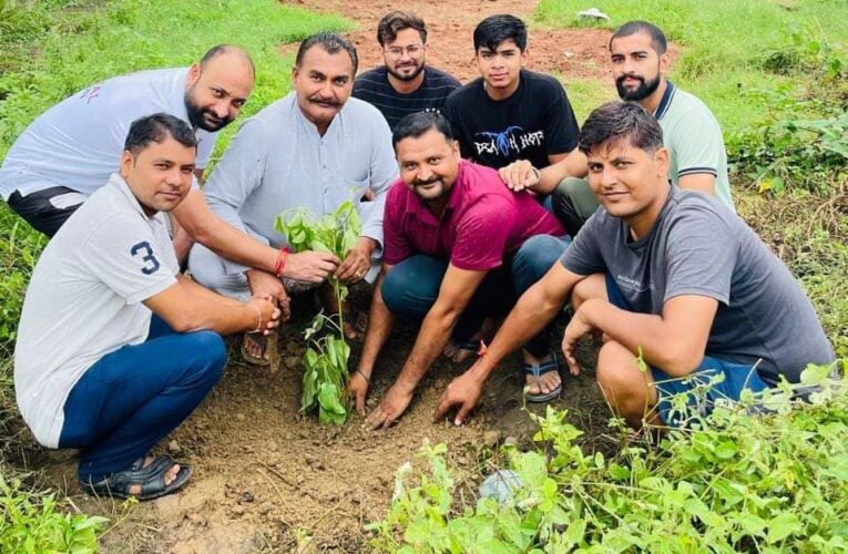 एक व्यक्ति के लिए मां का बहुत महत्वपूर्ण स्थान होता है: देवी सिंह राणा, भगवानपुर ग्रामीण मंडल के भलस्वागाज गांव में “एक पेड़ मां के नाम” अभियान के तहत किया पौधारोपण