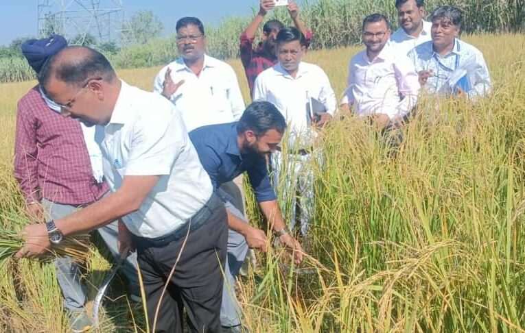 जिलाधिकारी कर्मेंद्र सिंह ने खेत में पहुंचकर की क्रॉप कटिंग, किसानों से बोये गए बीज, उर्वरक, कीटनाशकों आदि के संबंध में ली जानकारियां