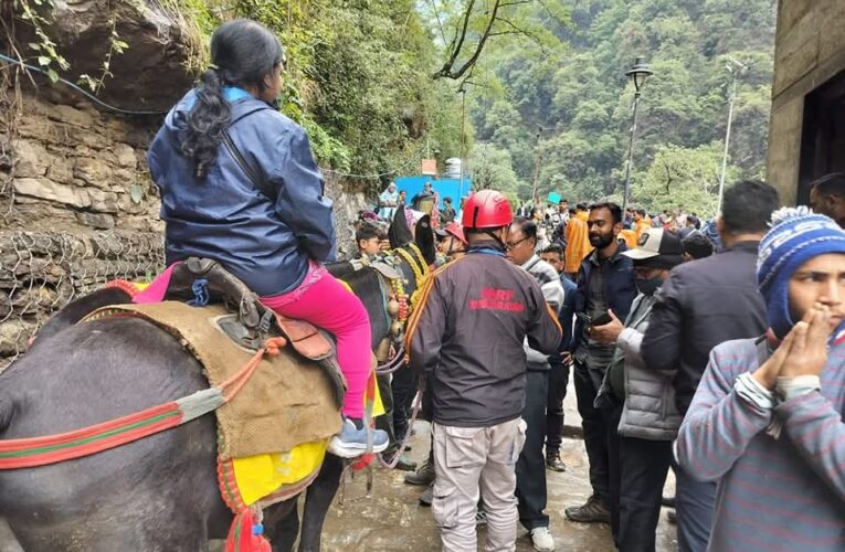 अब केवल पशु चिकित्सा जांच के उपरांत ही खच्चर व घोड़े केदारनाथ की ओर भेजे जा सकेंगे, मुख्य पशु चिकित्सा अधिकारी के दिशा-निर्देशों के अनुरूप नई व्यवस्था लागू