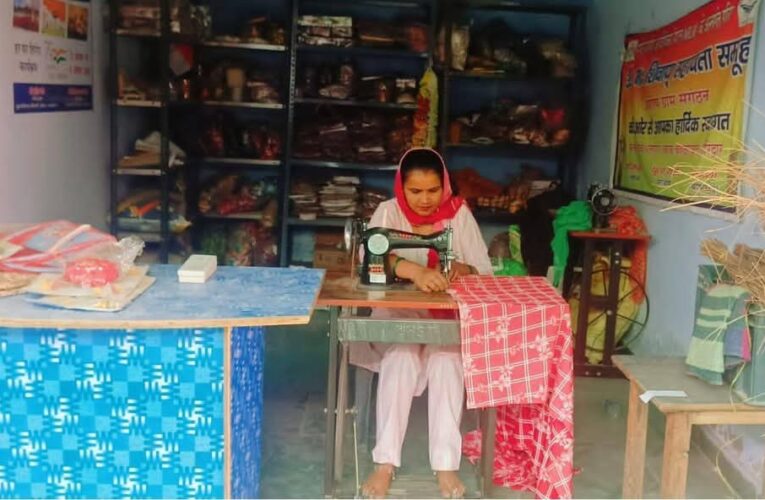 मुख्य विकास अधिकारी के निर्देशों से दीपा को मिला नया उद्यम