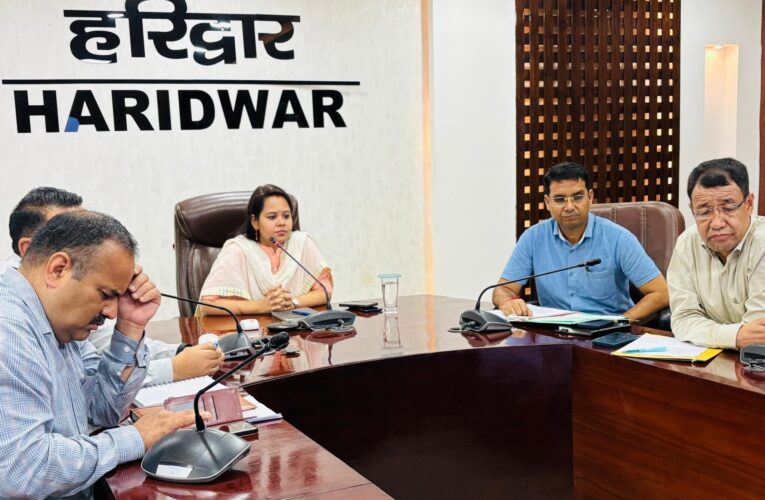 मुख्य विकास अधिकारी आकांक्षा कोण्डे ने की जलागम परियोजना की समीक्षा