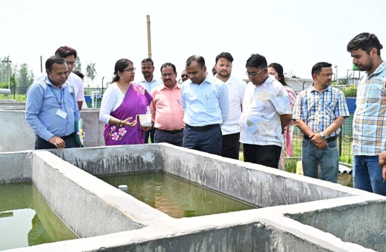 हरिद्वार: जनपद में रंगीन मत्स्य पालन को बढ़ावा देने के लिए जिलाधिकारी मयूर दीक्षित ने रंगीन मत्स्य कलस्टर का किया स्थलीय निरीक्षण