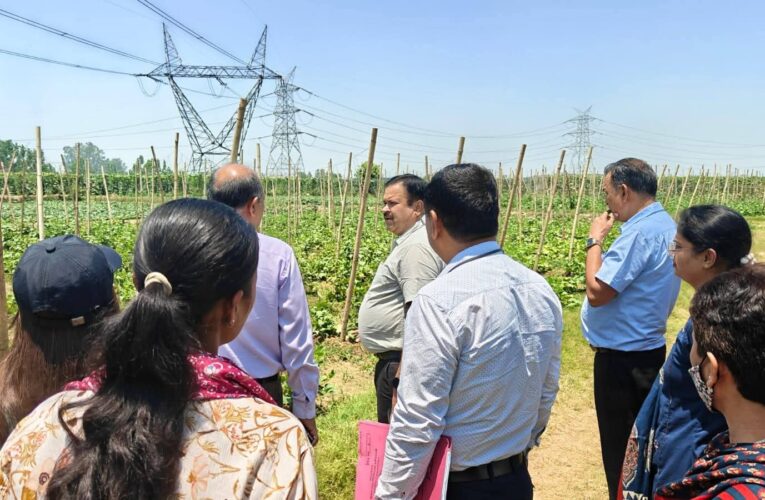 मुख्य विकास अधिकारी ने नगर निगम रुड़की में प्रस्तावित ‘निराश्रित कवन सेतु गौशाला’ के विस्तार हेतु स्थलीय निरीक्षण