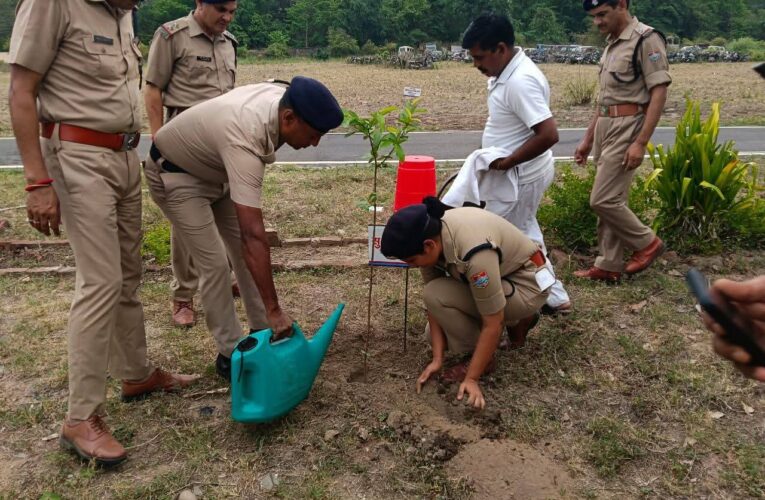 विश्व पर्यावरण दिवस पर एसएसपी हरिद्वार के नेतृत्व में वृक्षारोपण कार्यक्रम आयोजित, पुलिस लाइन रोशनाबाद में 200 से अधिक पौधों का किया गया रोपण, एसपी क्राइम व एसपी सिटी सहित अन्य राजपत्रित अधिकारी एवं पुलिस कर्मी रहे उपस्थित
