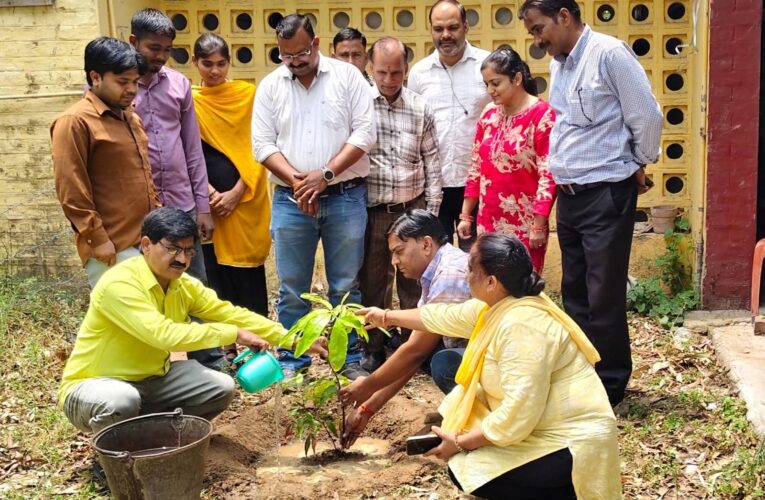 विश्व पर्यावरण दिवस पर प्राथमिक स्वास्थ्य केंद्र इमलीखेड़ा में किया गया पौधारोपण, सभी एक-एक पेड़ पर्यावरण को बचाने के लिए विश्व पर्यावरण दिवस पर अवश्य लगाएं: ब्रिजेश कुमार