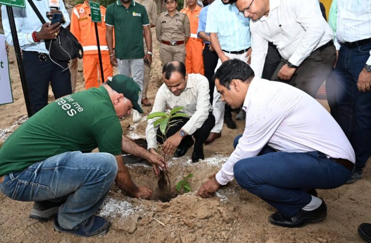 हरित हरिद्वार मुहिम को सार्थक करने के लिए जिलाधिकारी मयूर दीक्षित ने सिडकुल क्षेत्र में विश्व पर्यावरण दिवस के अवसर पर रुद्राक्ष का पौध किया रोपित