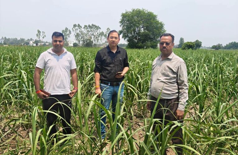 गन्ना विकास एवं चीनी उद्योग विभाग के सहायक गन्ना आयुक्त आशीष नेगी द्वारा गन्ना विकास परिषद काशीपुर परिक्षेत्र में गन्ना सर्वेक्षण कार्यों का औचक निरीक्षण किया