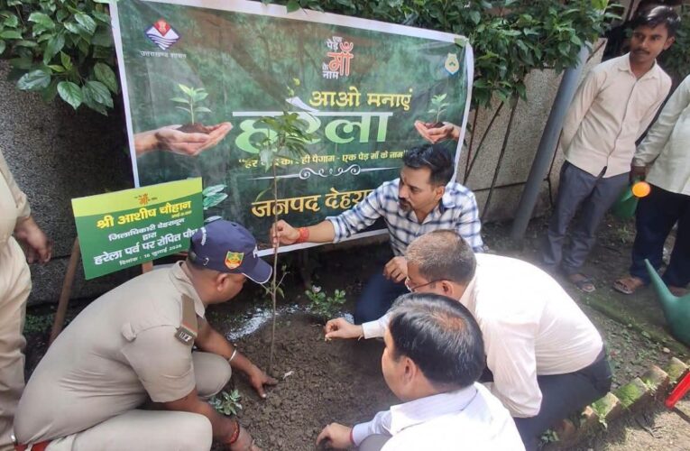 हरेला पर्व पर हरियाली का संकल्प: देहरादून जिलाधिकारी डॉ0 आशीष चौहान ने किया वृक्षारोपण, कहा-पौधारोपण को बनाएं जन-आंदोलन