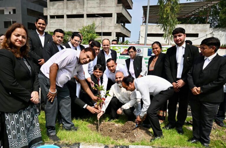 देहरादून जिला न्यायालय परिसर में ‘हरेला’ पर भव्य वृक्षारोपण, न्यायधीशों व वकीलों ने लिया पौधों के संरक्षण का संकल्प, पर्यावरण संरक्षण ही सुरक्षित भविष्य की धरोहर: जिला जज