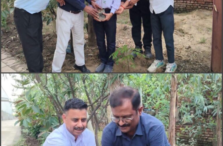 प्रीतम इंटरनेशनल प्राइवेट लिमिटेड में हरेला पर्व पर किया गया पौधारोपण, दिया पर्यावरण संरक्षण का संदेश