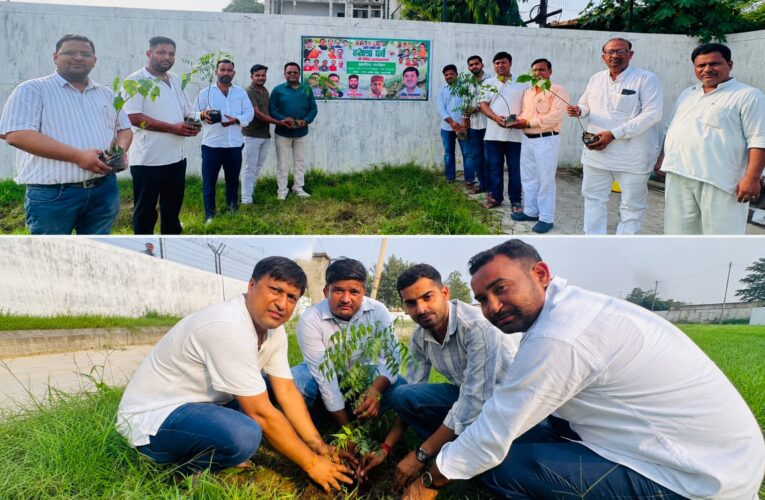 हरेला पर्व पर भाजपा निकाय प्रकोष्ठ के जिला संयोजक रचित अग्रवाल के नेतृत्व में कार्यकर्ताओं ने अटल सरोवर पार्क में किया पौधारोपण, हरेला केवल एक पर्व नहीं, बल्कि प्रकृति के प्रति हमारी जिम्मेदारियों का प्रतीक: रचित अग्रवाल