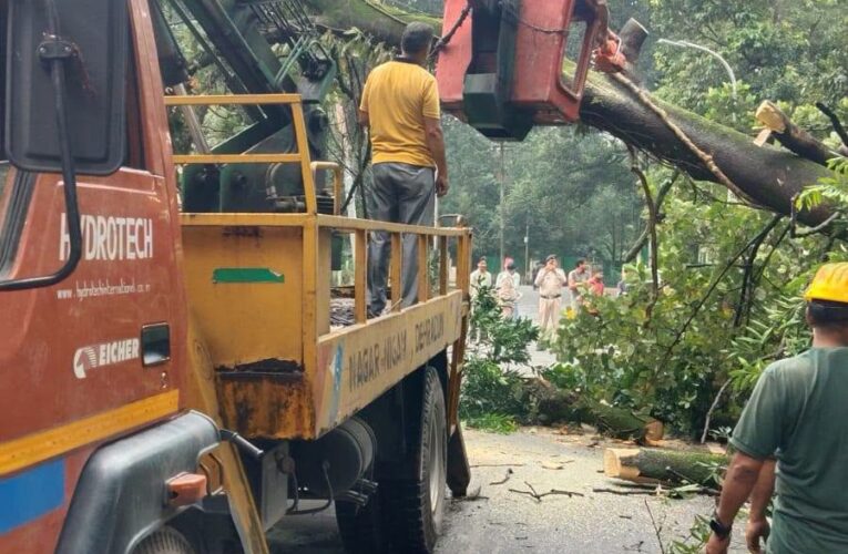 देहरादून की सड़कों पर चलेगा ‘गड्ढामुक्ति’ का महाअभियान, 15 सितंबर से युद्धस्तर पर शुरू होगा काम, 30 अक्टूबर तक सभी सड़कों को गड्ढामुक्त करने का लक्ष्य